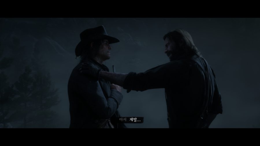 Red Dead Redemption 2_20190302204649.png