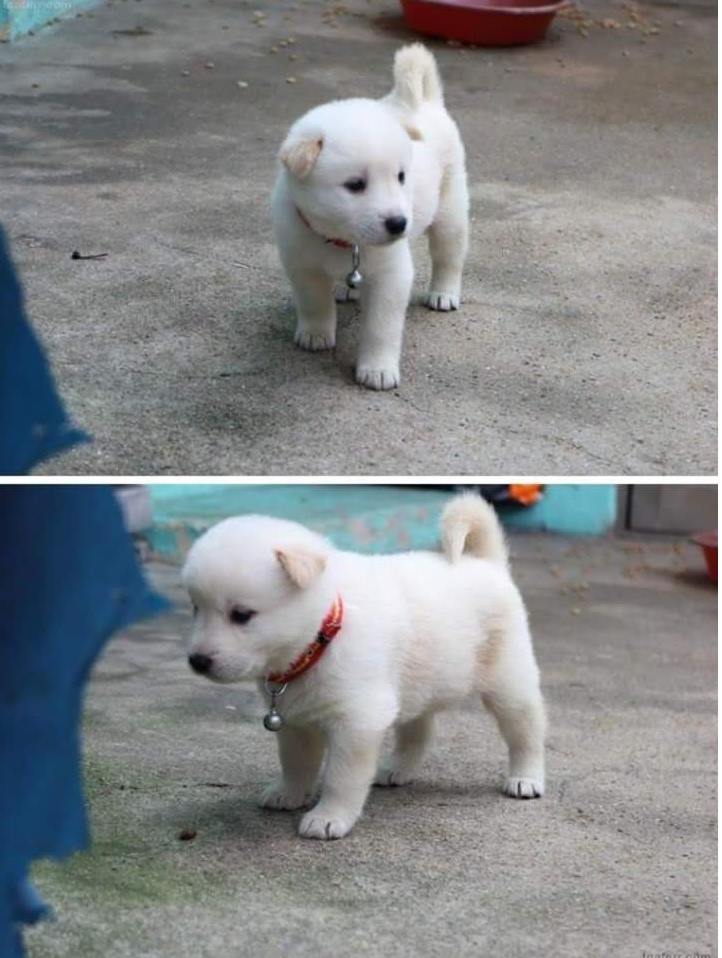 버닝썬 클럽 현장 모습_1.jpg