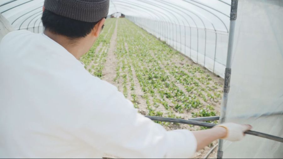 이거 두가족이서 시작한 과일나무 심기가....보통일이 아니네요_7.jpg