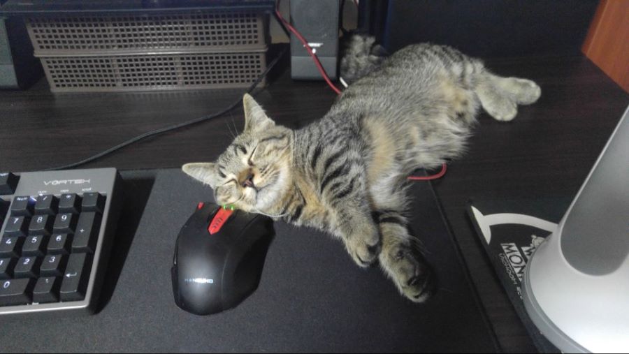 혹시 플스프로초기모델인데박스없으면 국전이나강변에서안받아주나요?_1.jpg