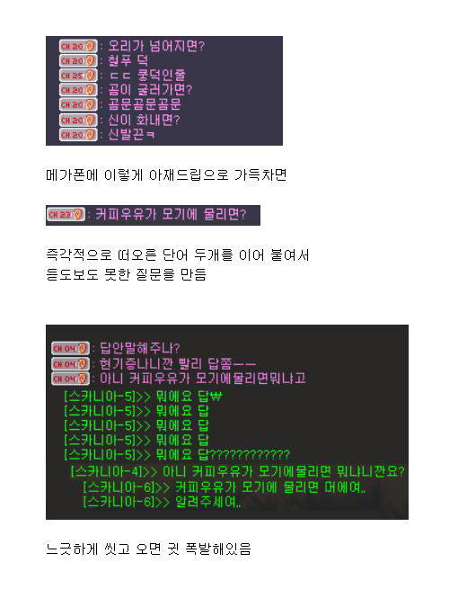 확성기 하나로 어그로 끄는 메이플스토리.jpg_1.png