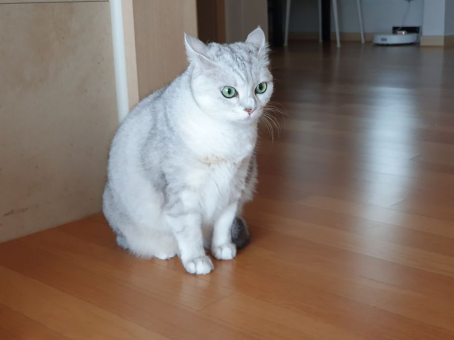 일렉트로맨 에어프라이어 사용 후기 입니다._17.jpg