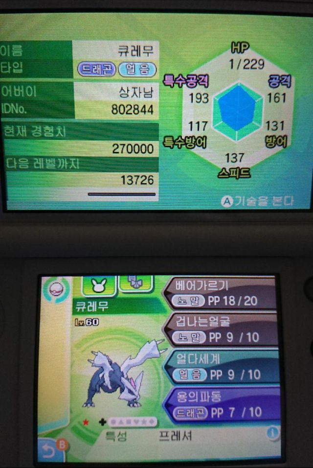 색이 다른 큐레무_4.jpg