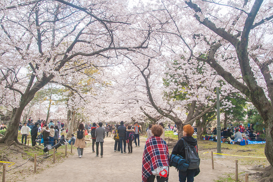 제목 없음 (12 - 15).jpg