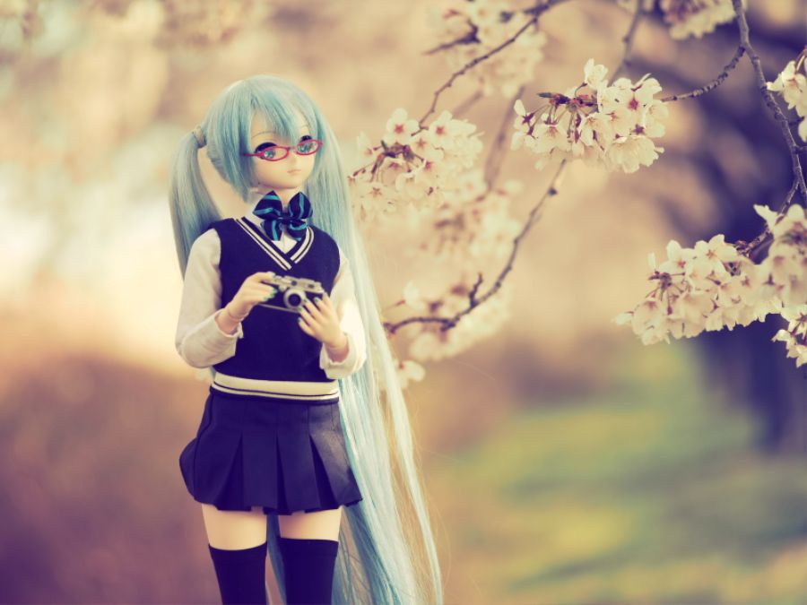 올해 벚꽃 사진_5.jpg