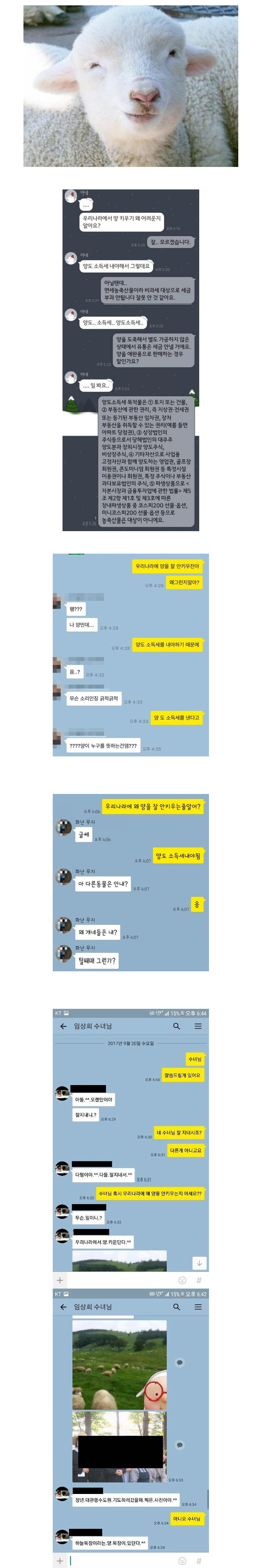 우리나라에서 양 안키우는 이유_1.png