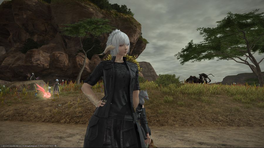 ffxiv_04162019_210845_861.png