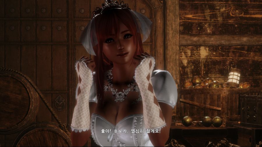 DOA6 (11).jpg