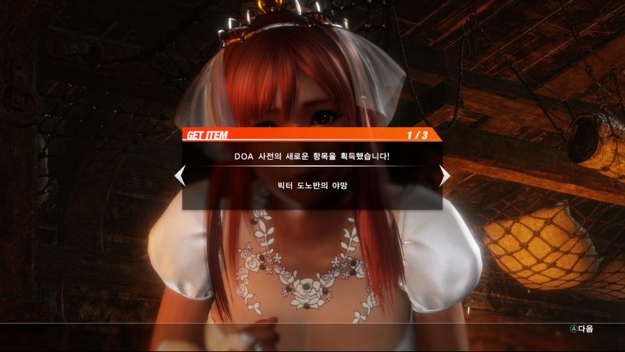 DOA6 (13).jpg