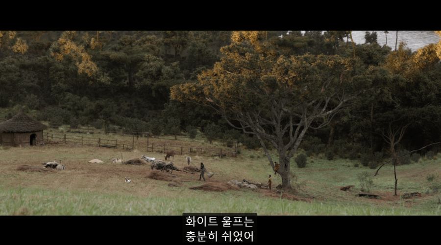 엔겜 스포) 팔콘과 윈터솔져의 차이_10.png