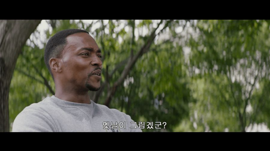 엔겜 스포) 팔콘과 윈터솔져의 차이_28.png
