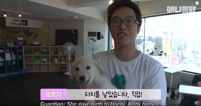 bandicam 2019-04-26 12-44-08-241.jpg