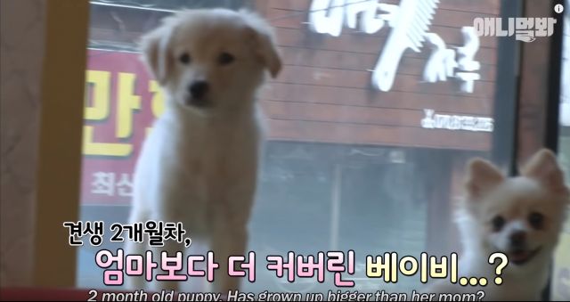 bandicam 2019-04-26 12-44-39-380.jpg