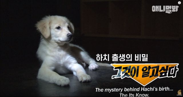 bandicam 2019-04-26 12-46-32-502.jpg