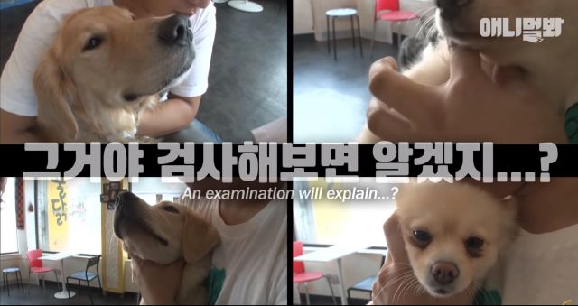 bandicam 2019-04-26 12-47-19-088.jpg