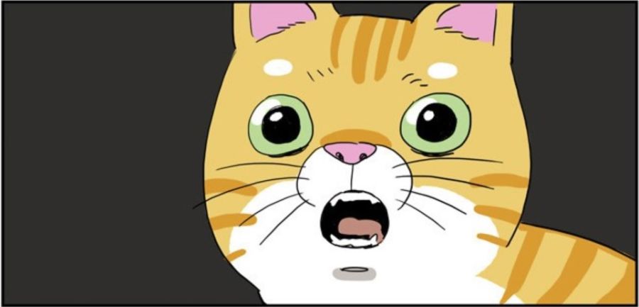 애용콘 존나 귀엽네ㅋㅋㅋ_1.jpg