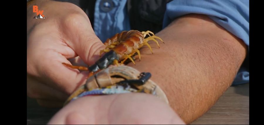 (극혐) 안 흔한 유튜버의 컨텐츠_3.jpg