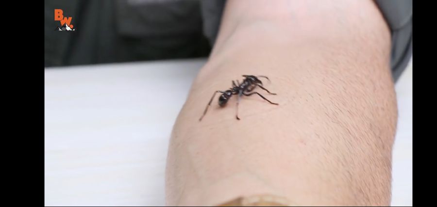 (극혐) 안 흔한 유튜버의 컨텐츠_19.jpg