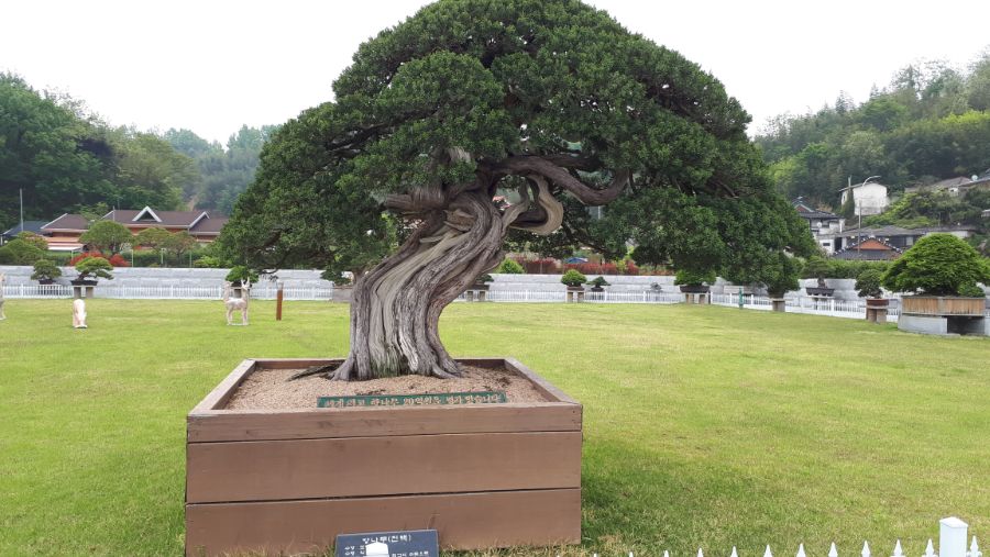 여수, 순천, 담양 3박4일 여행_75.jpg