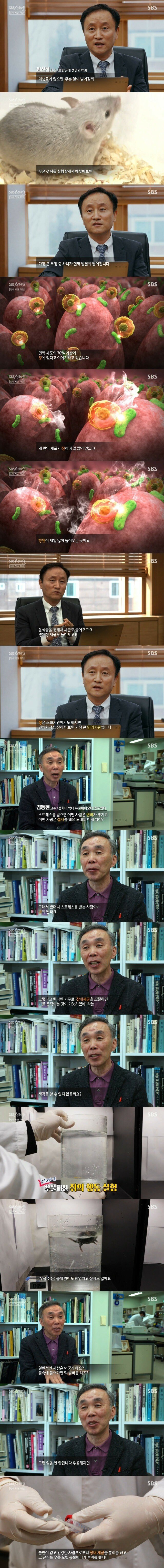 우울한 사람들은 식단을 바꿔 보아라 인류 제 2의 뇌의 비밀_1.jpg