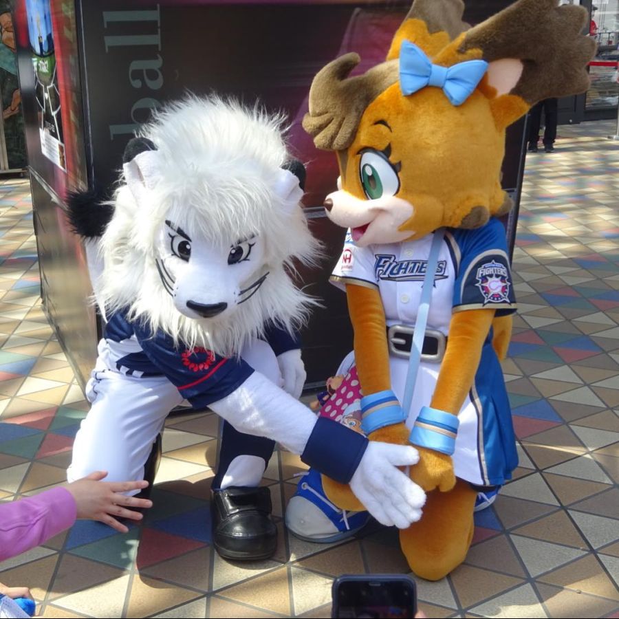 인형탈 알바녀 팬티 노출ㄷㄷㄷㄷㄷㄷㄷ....jpgif_1.jpg