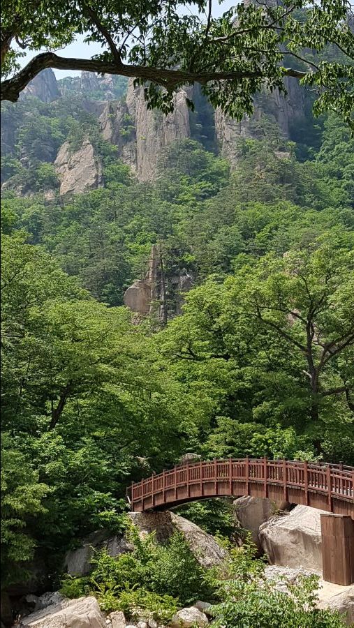2019 강원도 희망투어 3차 패키지 후기