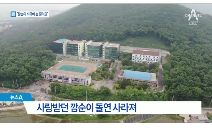 여대 마스코트였던 깜순이의 비극.jpg_3.jpg