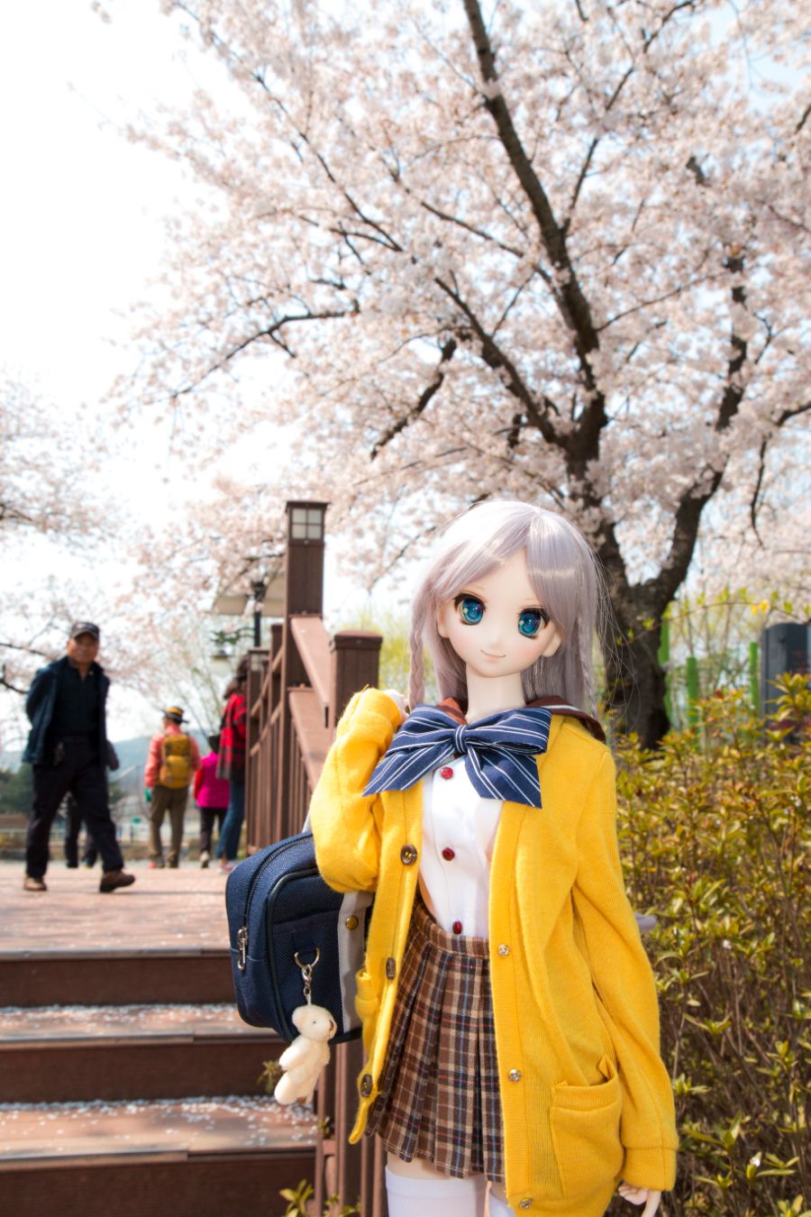 늦은 벚꽃철 사진_5.jpg