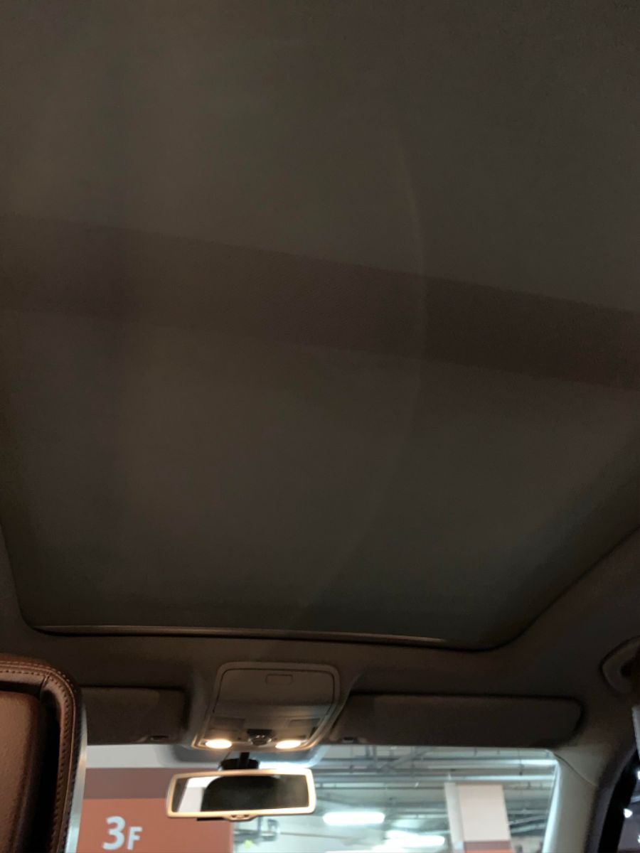 panoramic roof.jpg