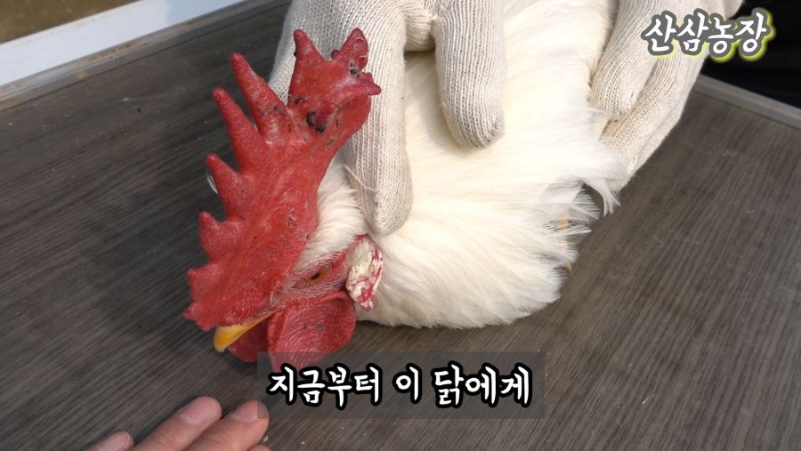 5최면6.jpg