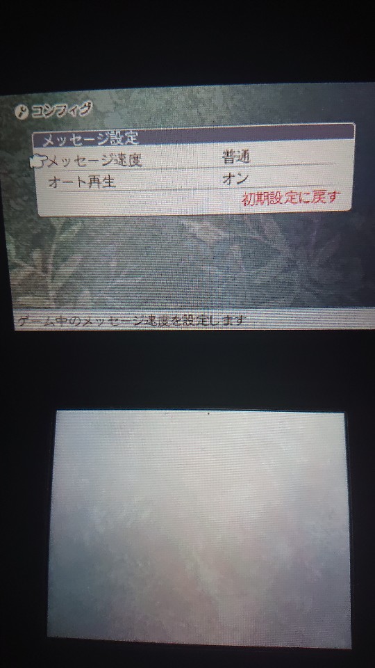 브레이블리 디폴트 포더시퀄 일본판은_3.jpg