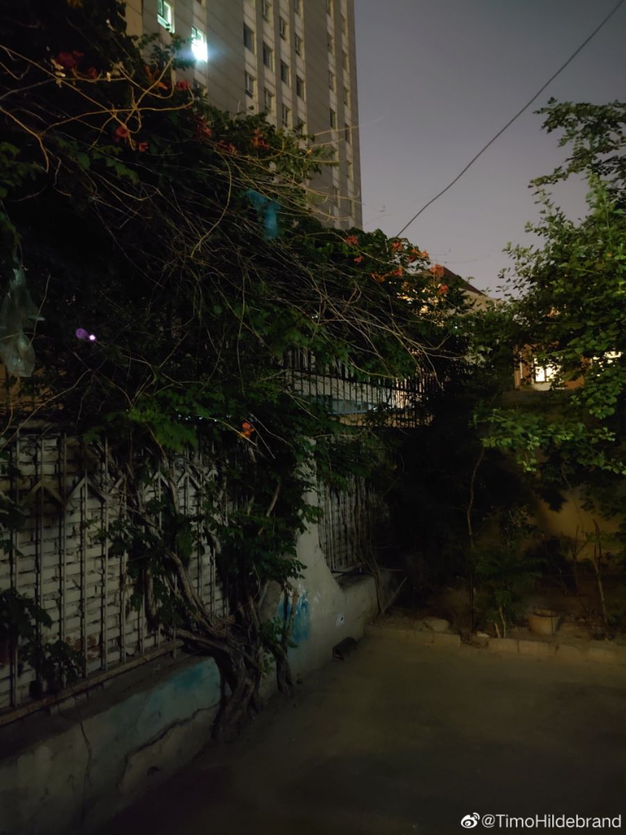 소니 엑페1 Vs. 이전세대 야간 사진 비교_4.jpg