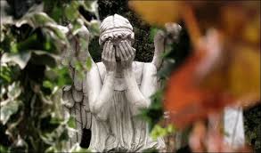 (후방) 눈을 뗄수 없는 미모의 천사.jpg_1.jpeg