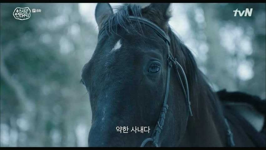 아스달 연대기 근황_2.jpeg