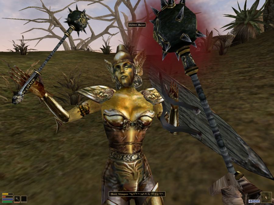 Morrowind (11).jpg