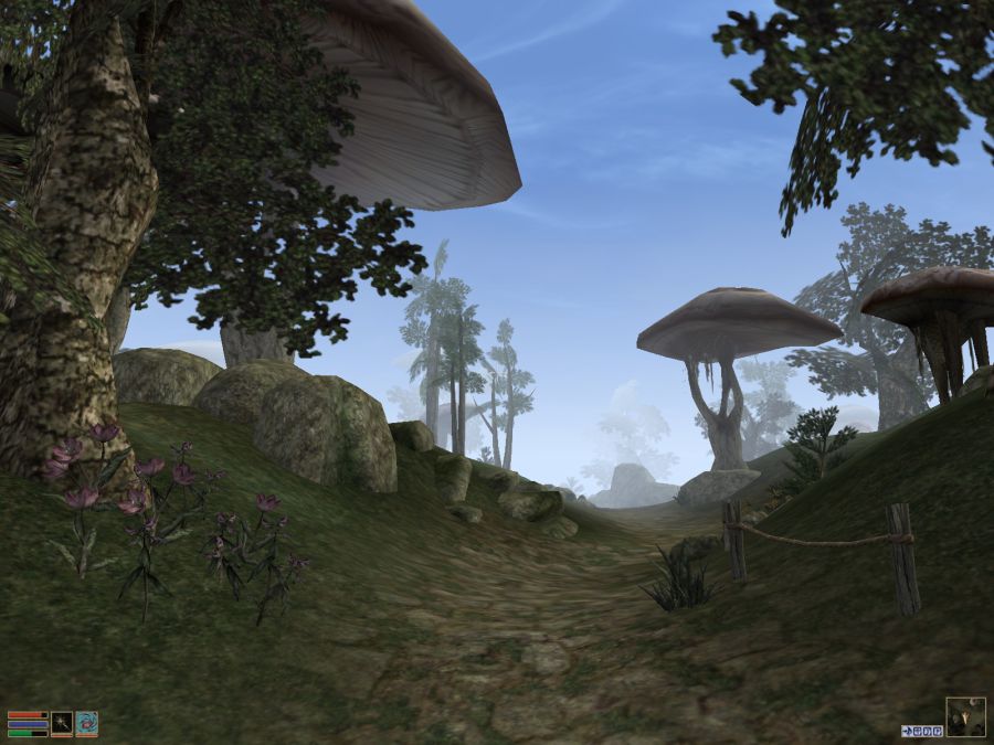 Morrowind (16).jpg