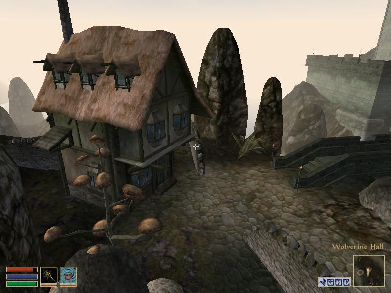 Morrowind (22).jpg