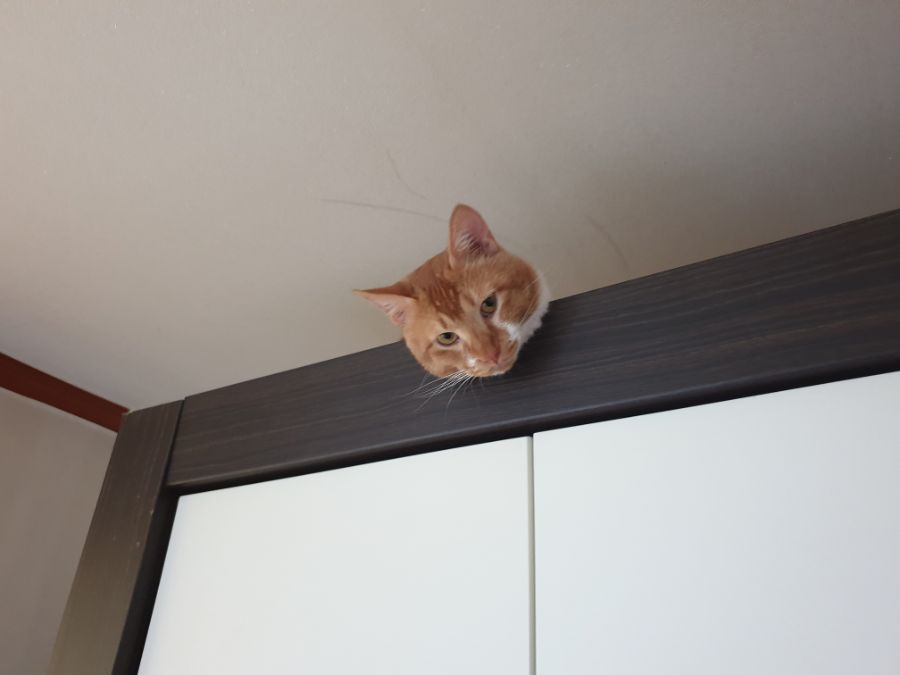 ㅆㅂ 검찰에서 이런거날라왔다 ㅠㅠ_5.jpg