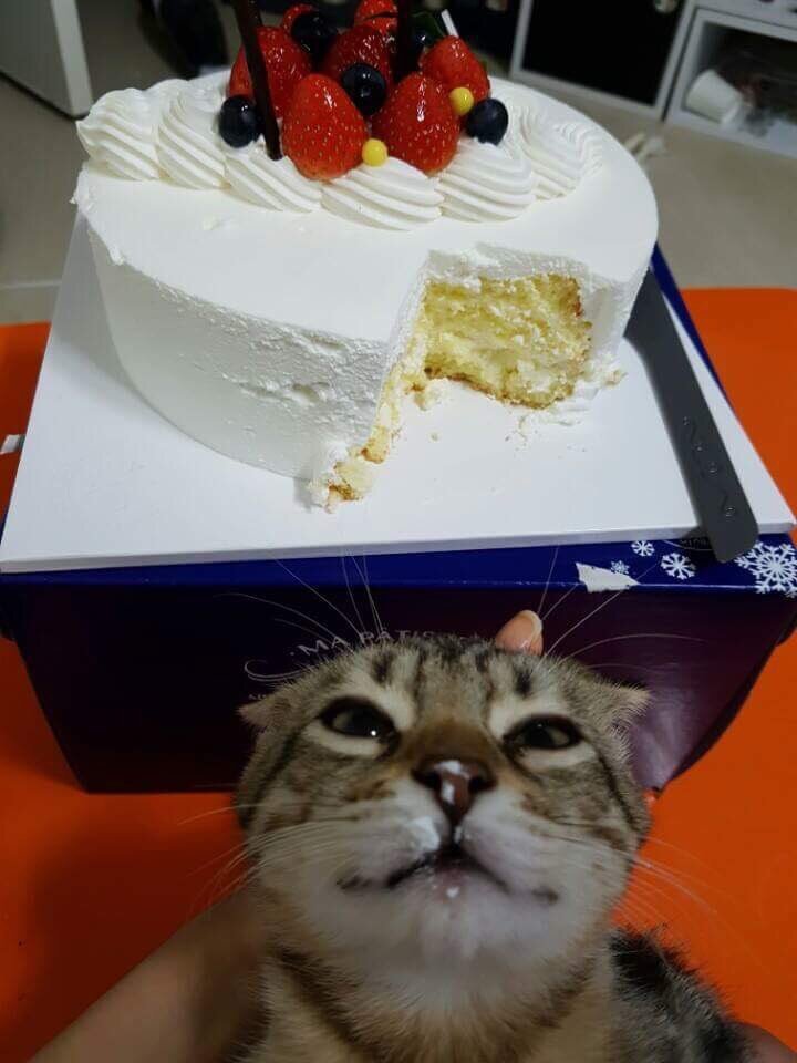 그래 내가 저질렀다_1.jpg