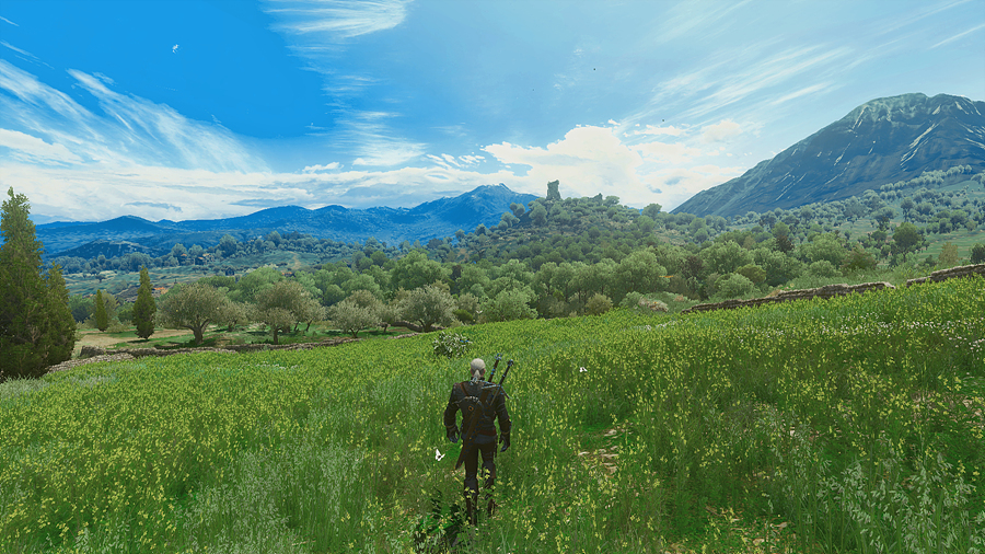 witcher3_2019_06_29_02_25_18_827.jpg