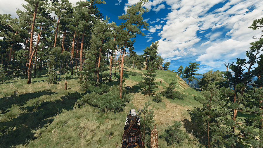 witcher3_2019_06_29_03_08_42_985.jpg