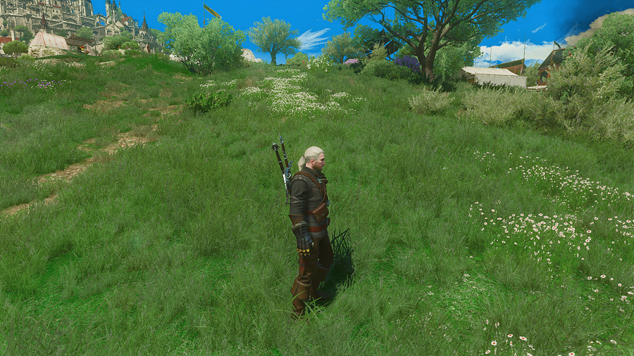 witcher3_2019_07_01_17_12_53_392.jpg