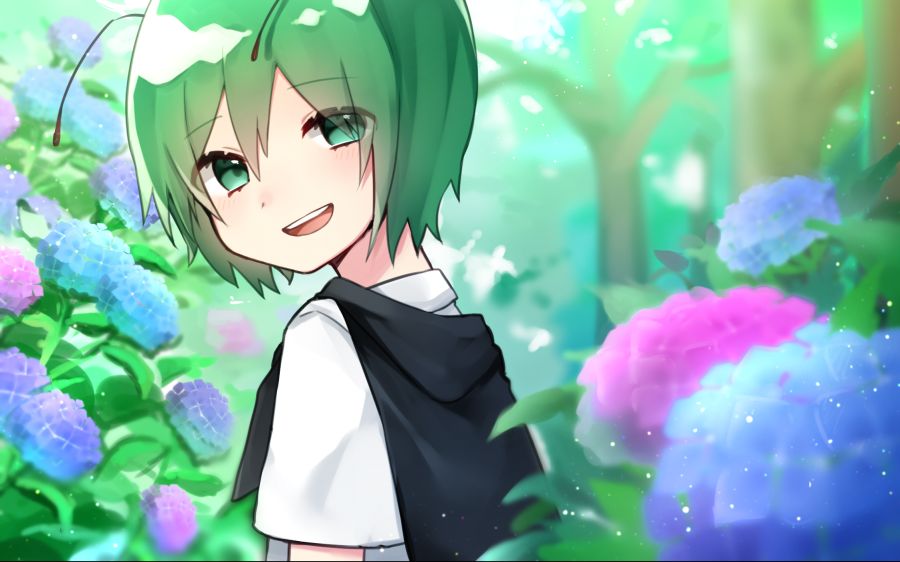 __wriggle_nightbug_touhou_drawn_by_katsuobushi_eba_games__f2ac7992d17e3c1cd477c9487aa44971.png