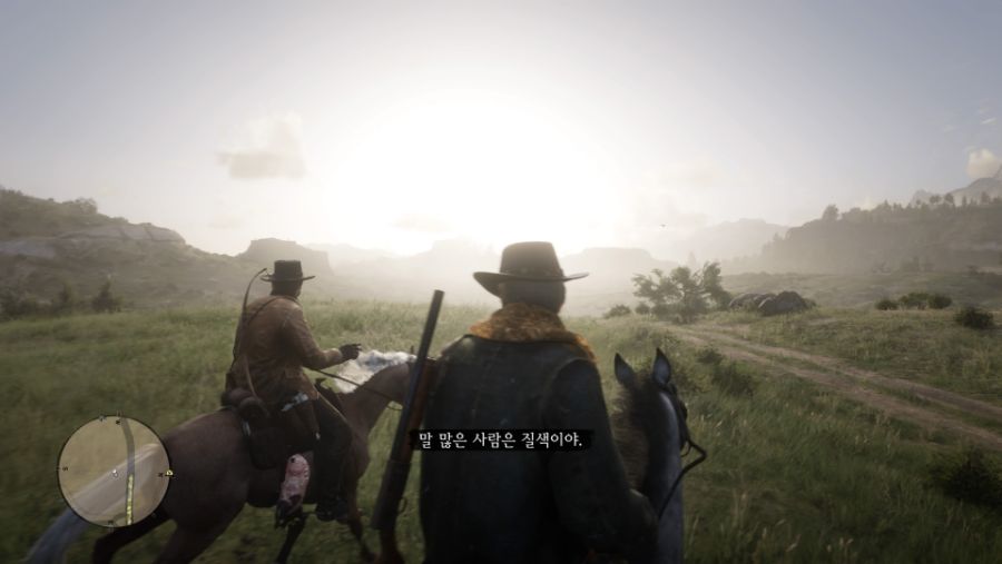 Red Dead Redemption 2_20190721185420.jpg