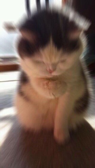 맛폰 저장용 짤_2.jpeg