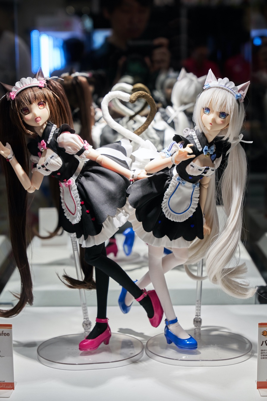 2019 여름 원더 페스티벌 下 (초스압)_29.jpg