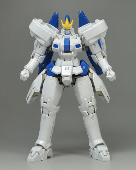 RG 톨기스 III 해외 리뷰 3_4.jpg