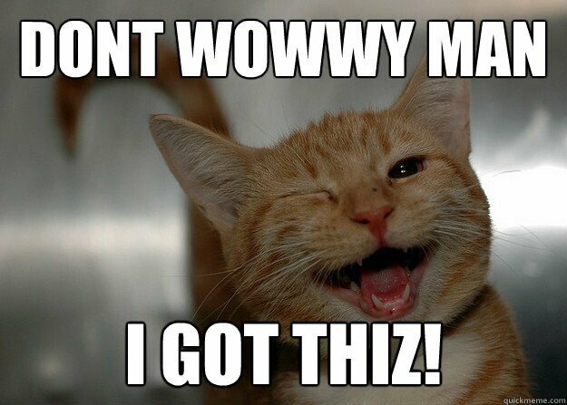 다친 다람쥐 치료 후 방생 . GIF_1.jpg