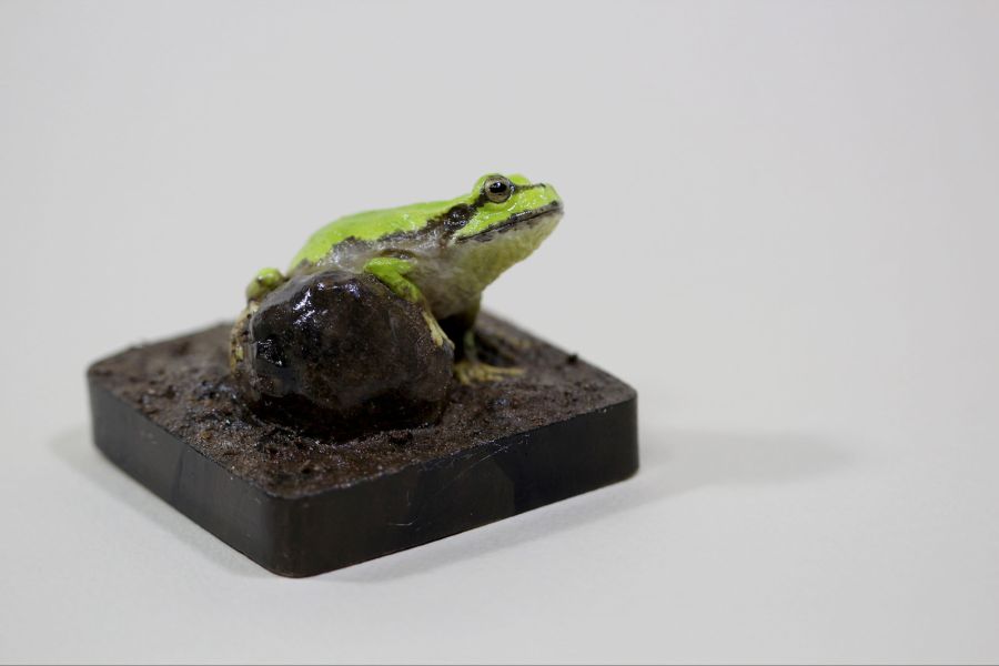 조형작가의 청개구리 피규어 만들기 과정!_14.jpg