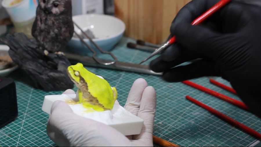 조형작가의 청개구리 피규어 만들기 과정!_9.jpg